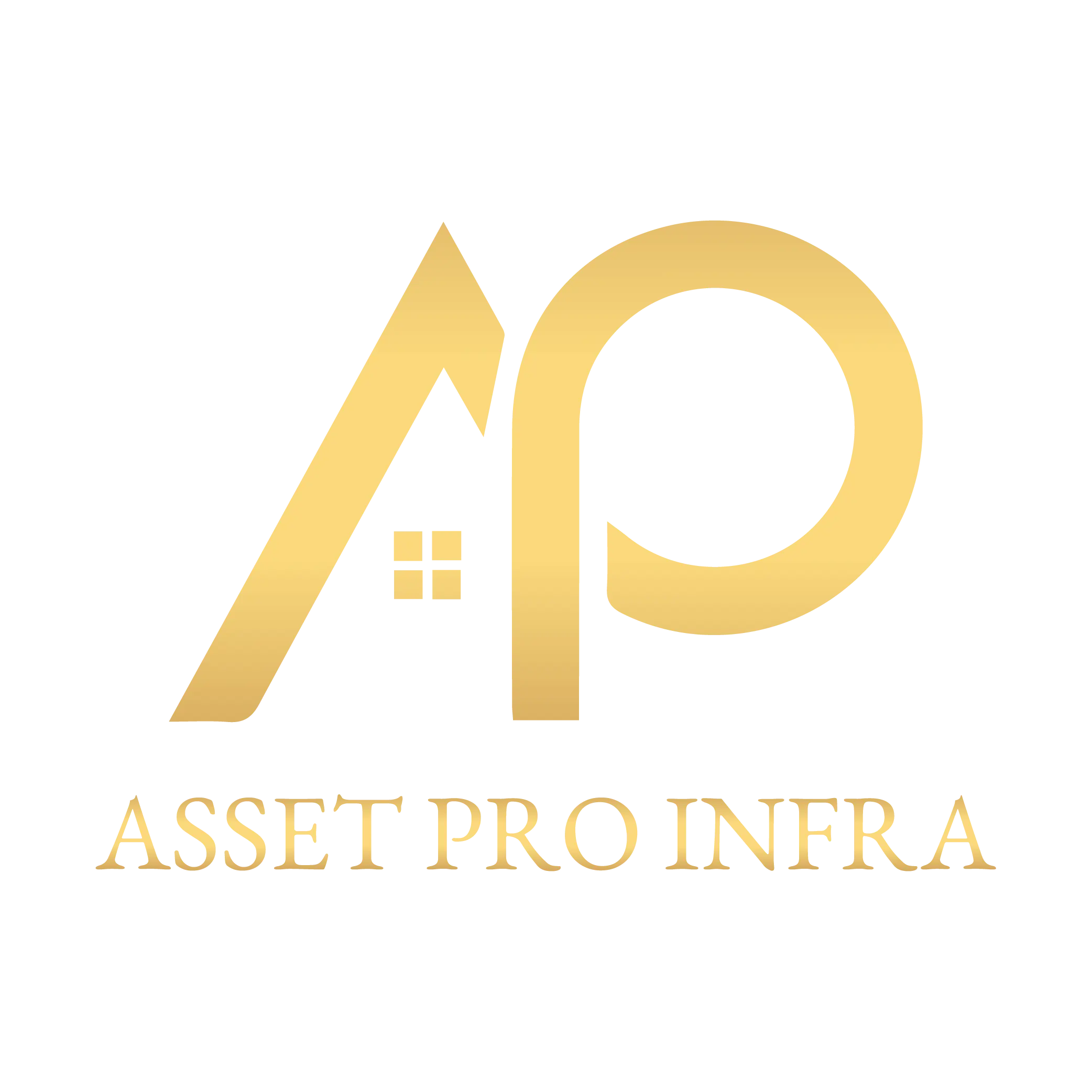 Asset Pro Infra Logo